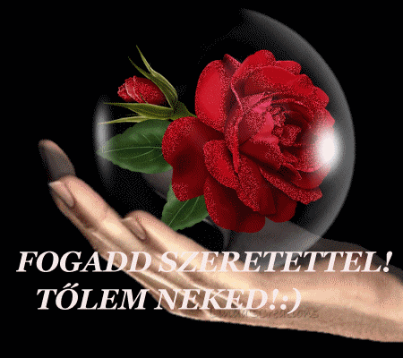www_tvn_hu_192d363b70b135df6deffae4f6df62c5.gif
